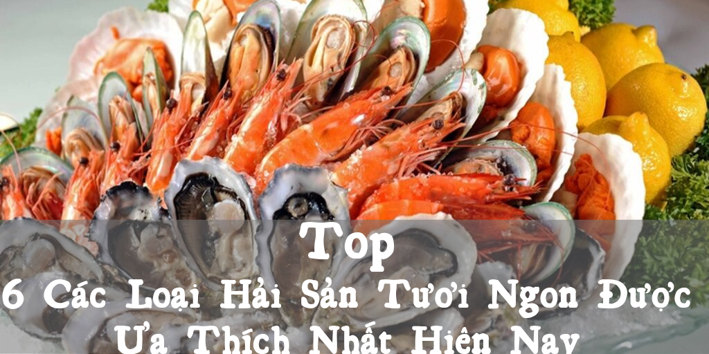 Top 6 Cac Loai Hai San Tuoi Ngon Duoc Ua Thich Nhat Hien Nay